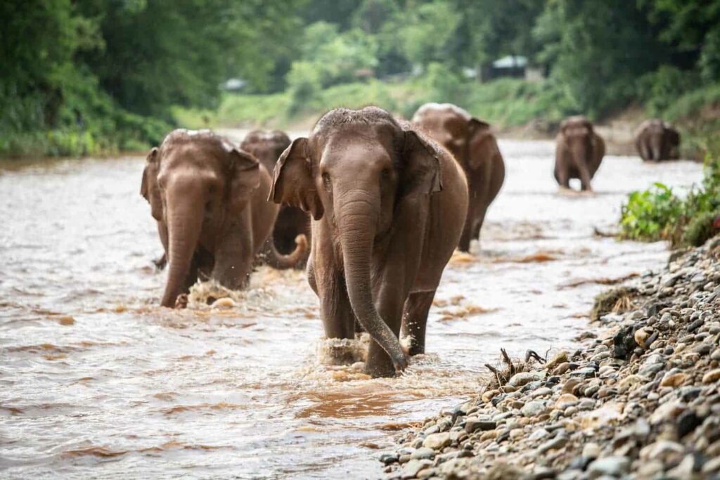 Chiang Mai – Chiang Rai, Thailand