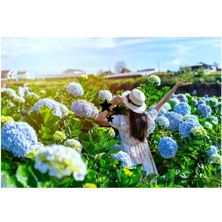 Dalat – Mui Ne – Ho Chi Minh, Vietnam