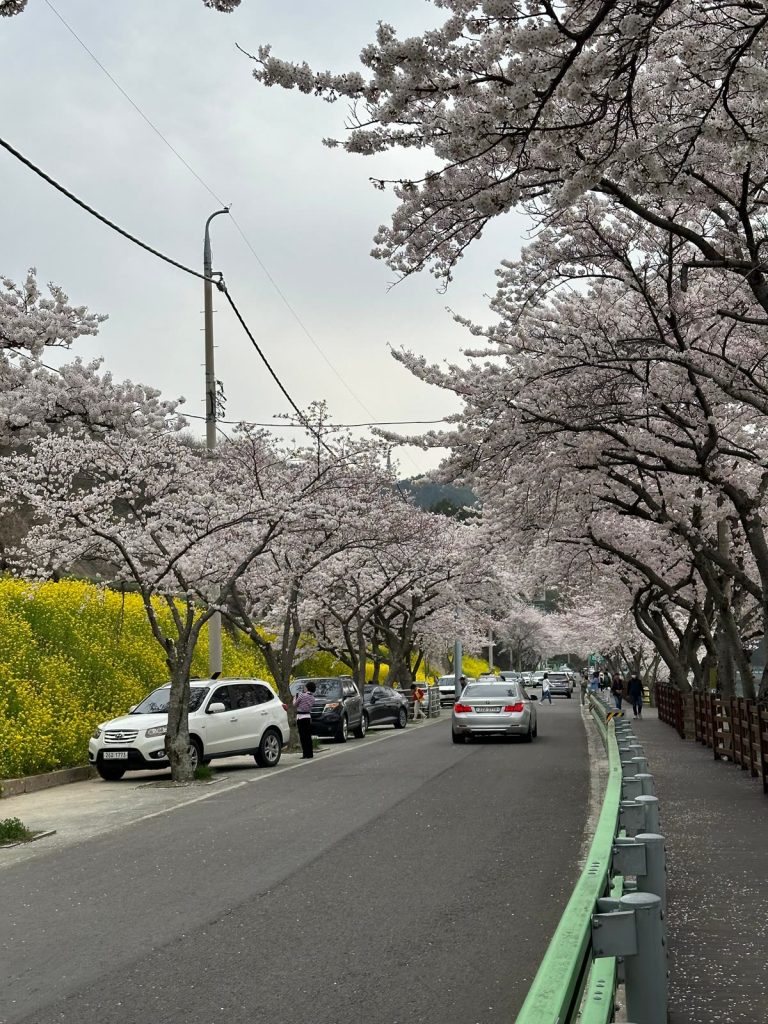 Jom Jelajah Benua customers in Japan