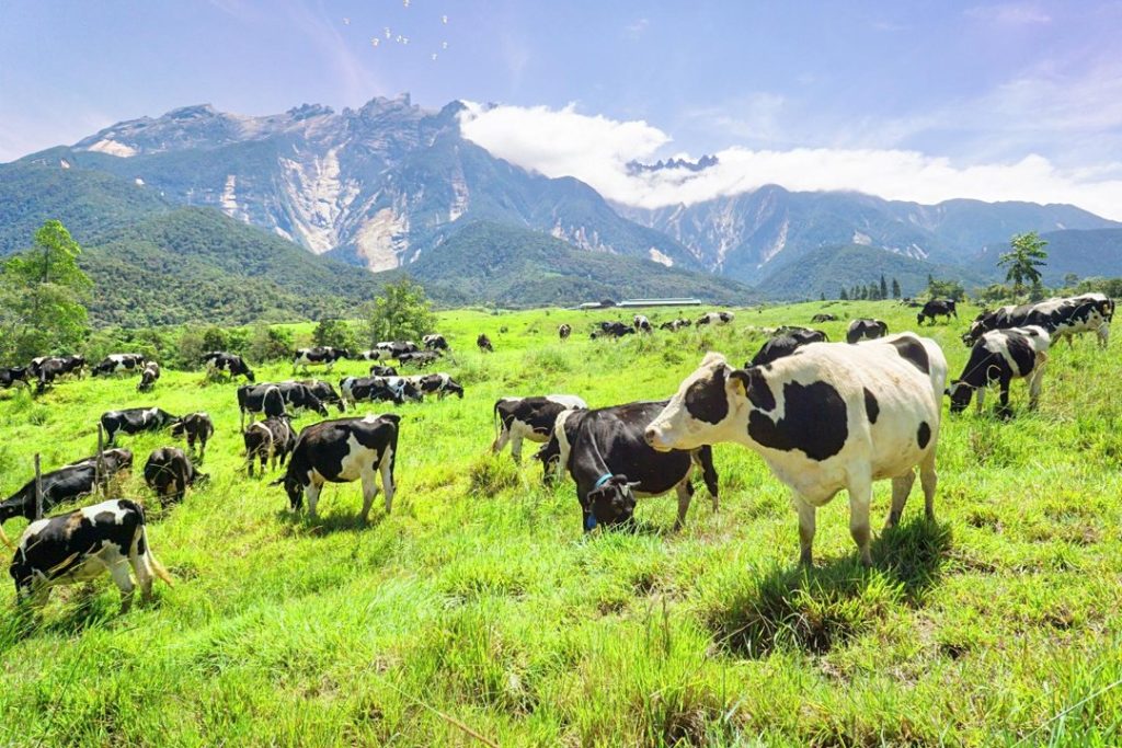 Kota Kinabalu – Kundasang, Malaysia
