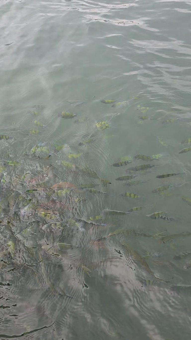 Jom Jelajah Benua customers in Langkawi