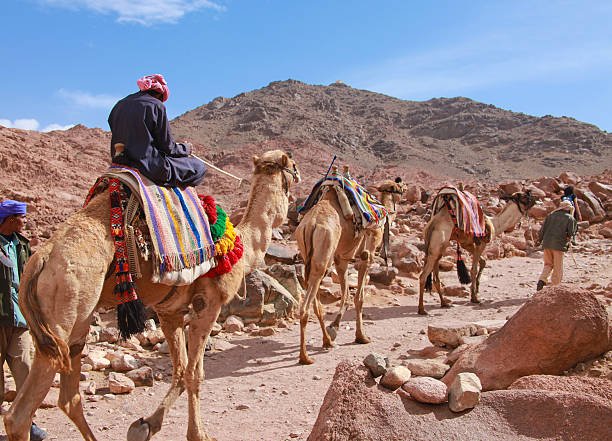 Mesir – Jejak Rasul, Egypt