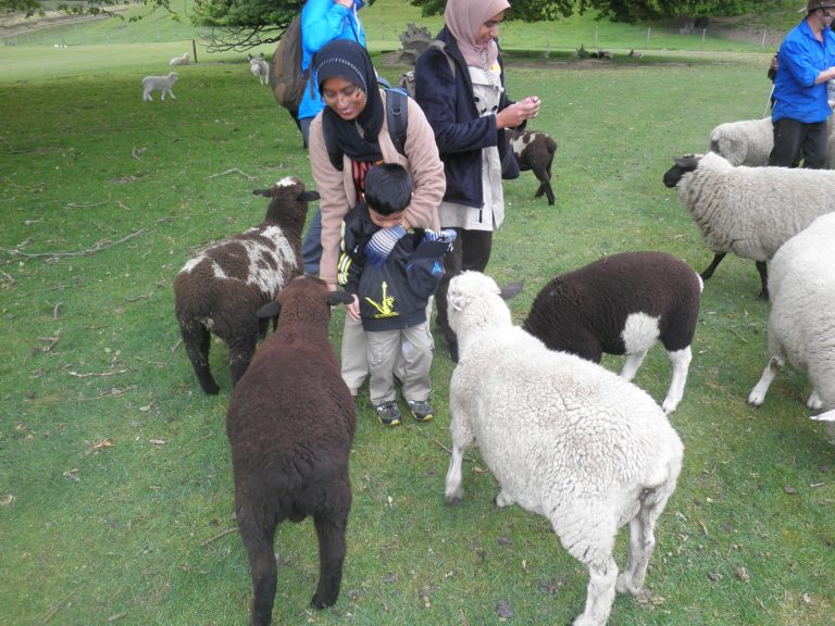 Jom Jelajah Benua customers in New Zealand