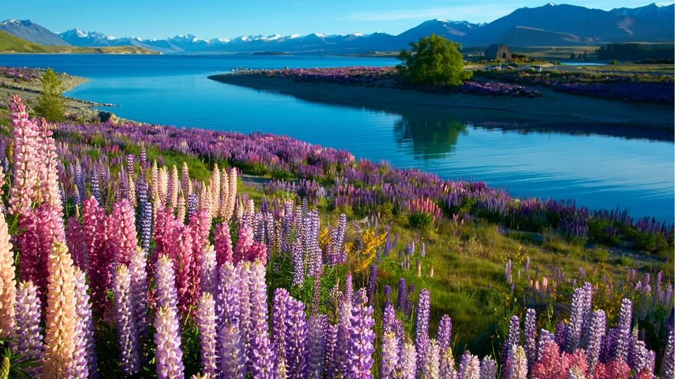 New Zealand