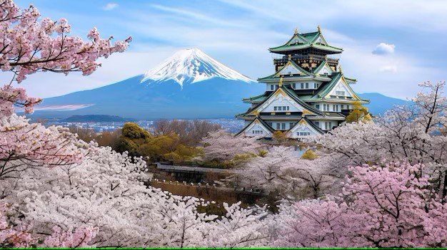 Osaka – Kyoto – Mt Fuji – Tokyo, Japan