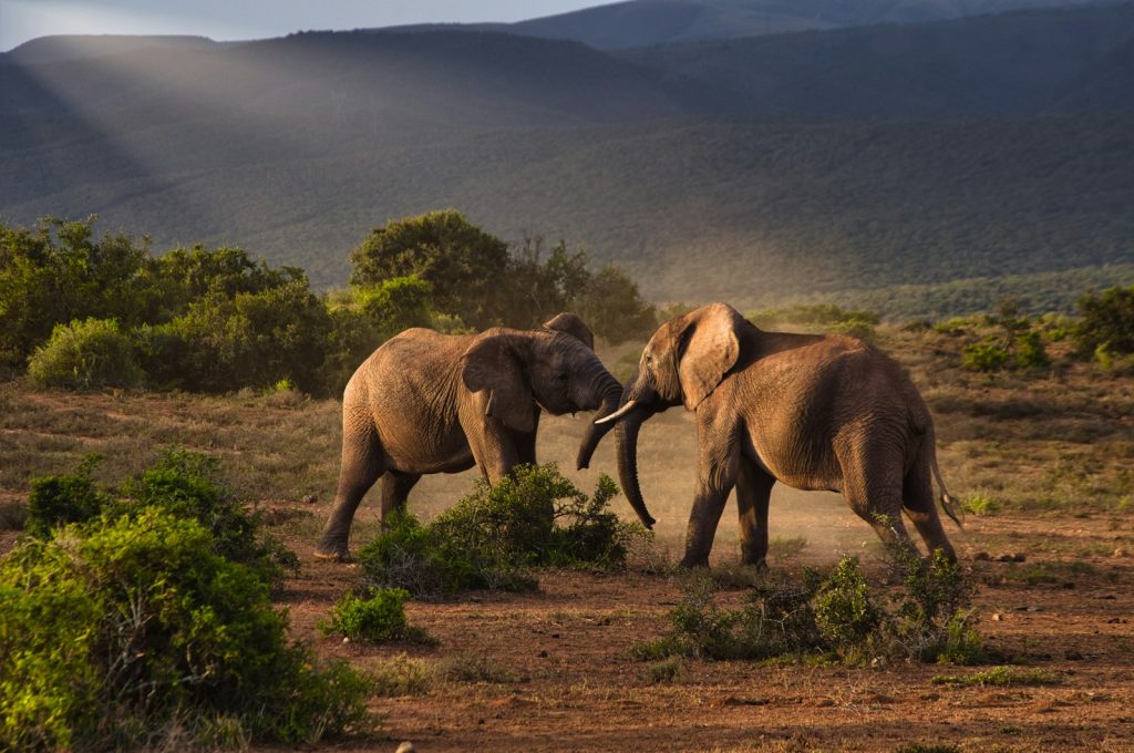 South Africa