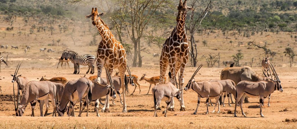 South Africa, South Africa