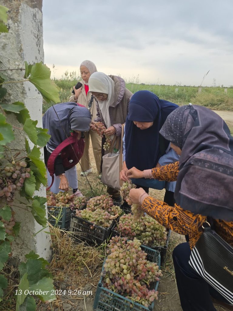 Jom Jelajah Benua customers in Uzbekistan