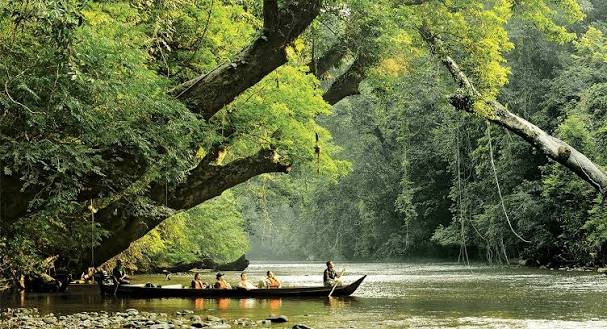Taman Negara, Pahang, Malaysia